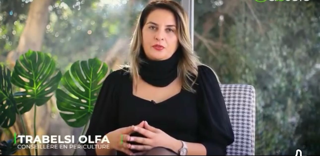 Olfa Trabelsi